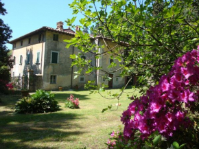 Отель Villa Masini-Luccetti  Пьетрасанта